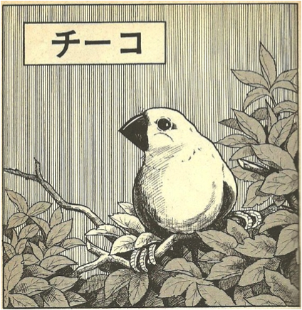 figure 1 tsuge