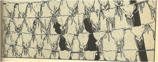 figure 10 tsuge