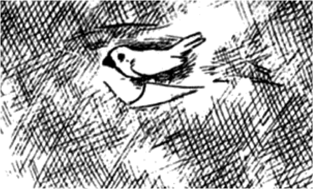 figure 5 tsuge