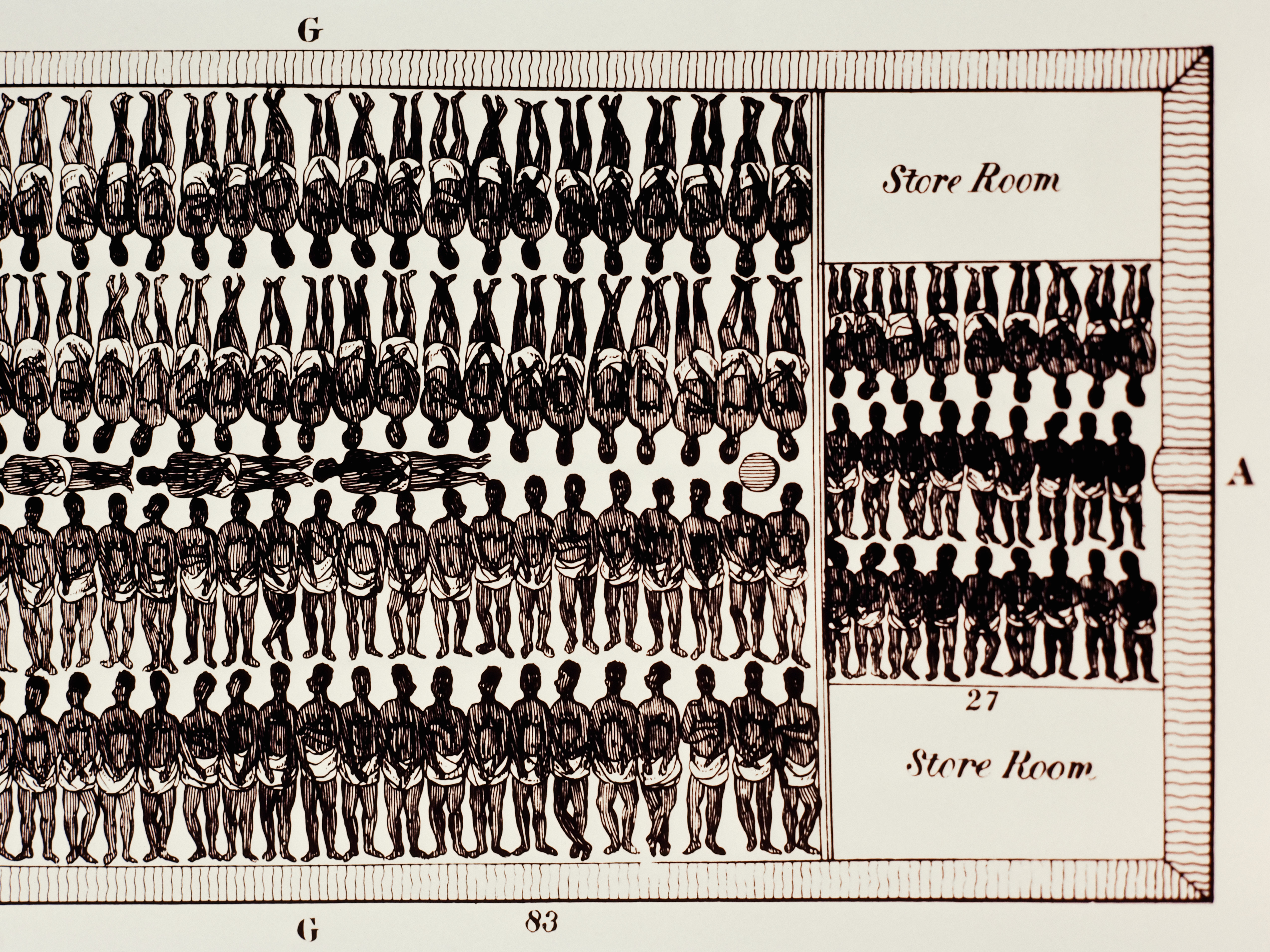 A detailed drawing of the inside of a slave ship, showing how close together the "cargo" was packed. --- Image by © Louie Psihoyos/Science Faction/Corbis